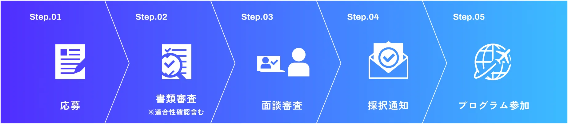 ログラム参加までの流れ:Step.01 応募、Step.02 書類審査(適合性確認含む)、Step.03 面談審査、Step.04 採択通知、Step.05 プログラム参加